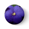 Violet buttons by christigmc Violet buttons