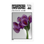 Violet Calla Lilly Postage