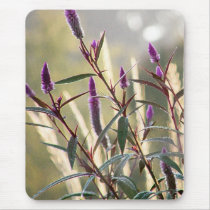 Violet Candles mousepads