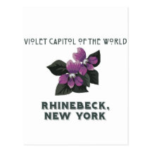 violet capitol of the world rhinebeck post card