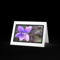 Violet cards
