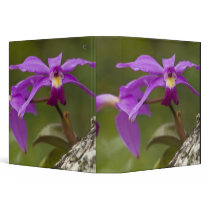 Violet Cattleya Orchid Cattleya violacea) 3 Ring Binder