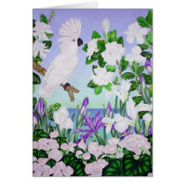 Violet Cockatoo cards by joeyartist Violet Cockatoo cards