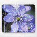 Violet Dreams mousepads by arteologist23 Violet Dreams mousepads