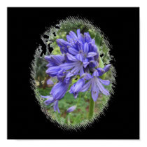Violet flower posters by greenblueyellow Violet flower posters