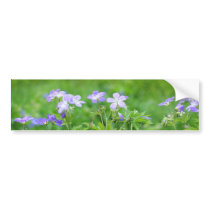 Violet flowers in the field bumper stickers