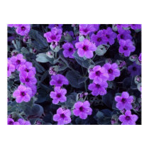 Violet flowers posters by herooftheuniverse Violet flowers posters