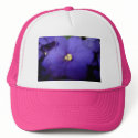 Violet hats by christigmc Violet hats