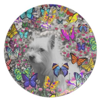 Violet in Butterflies – White Westie fuji_plate
