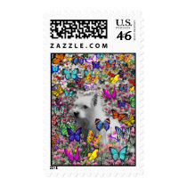Violet in Butterflies – White Westie Postage
