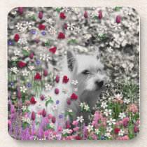 Violet in Flowers – White Westie Dog cork coasters