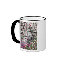 Violet in Flowers – White Westie in Blossoms Coffee Mug