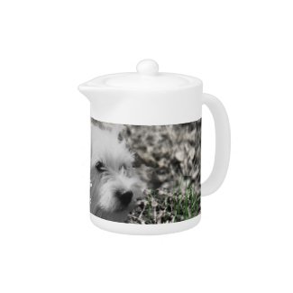 Violet in Flowers – White Westie Terrier zazzle_teapot