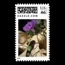 Violet Ivy stamps
