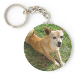 VIOLET keychains