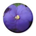 Violet magnets by christigmc Violet magnets