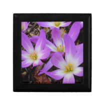 Violet New Zealand Wild Flower gift box gift boxes