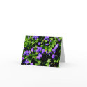 Violet Note Cards by shellmart Violet Note Cards