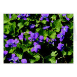 Violet Note Cards