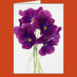blossom, blue, bright, clear, color, colorful,