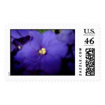 Violet postage
