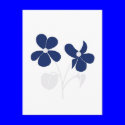 Violet postcards