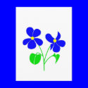 Violet postcards