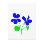 Violet Post Card
