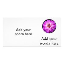 Violet/Purple Dahlia Custom Photo Card