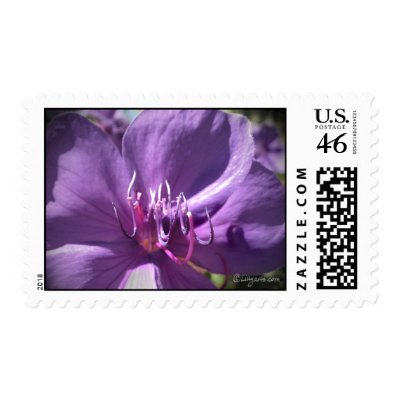 Violet Purple Floral Wedding Invitation Postage