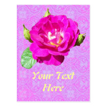 Violet Rose Damask postcards