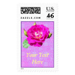 Violet Rose Damask Postage Stamps