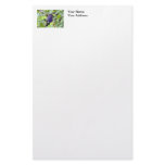 Violet Sabrewing Hummingbird Closeup stationery