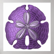 Violet Sand Dollar Poster Print
