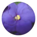 Violet stickers by christigmc Violet stickers