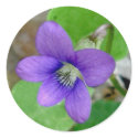 Violet Stickers by CarolsCamera Violet Stickers