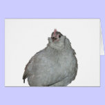 Violet the Lavender D'uccle Loves You cards
