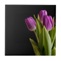 Violet tulips tiles