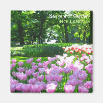 Violet tulips garden magnets