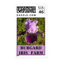 VIOLET TURNER IRIS STAMP