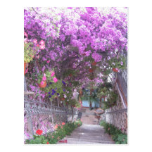 Violet view postcard
