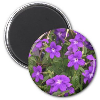 Violet Weeds Magnet