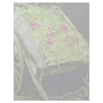 Violet Wooden Cart Planted With Primula juliae flo Letterhead Template