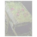 Violet Wooden Cart Planted With Primula juliae flo Letterhead Template