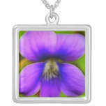 ¡Violeta de la primavera - poder púrpura! Joyería