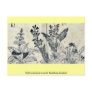 Violets and arrow arum by Tachibana,Yasukuni Postcard