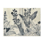 Violets and arrow arum by Tachibana,Yasukuni Postcard