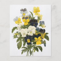 Violets and Pansy Flowers Botanical Art flyers