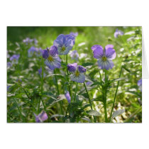 Violets cards