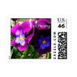 Violets for February Birthday Stamps